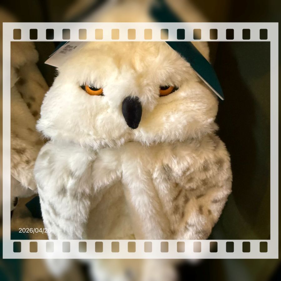 2026北冰上火樂園巡遊 （5/4)–北京環球影城